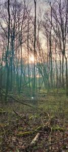 Chris 02 Avondzonnetje